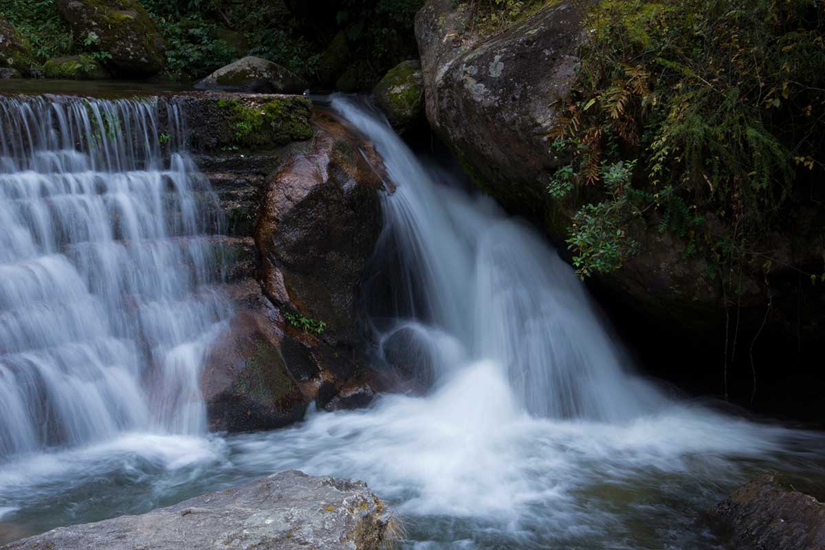 National Parks in Nepal: Oasis of Nepalese Wildlife !! - Holy Mountain Treks