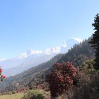 trek-in-nepal