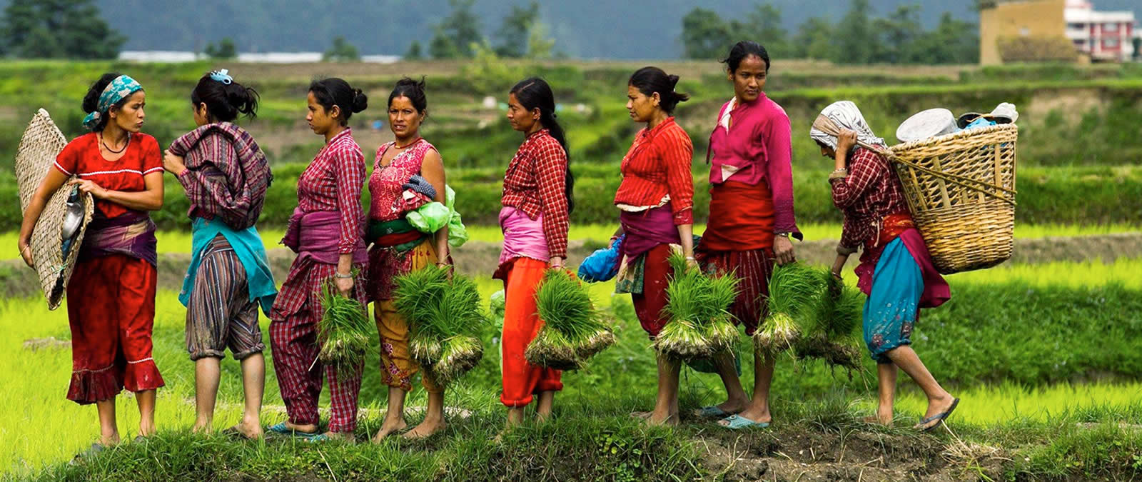 climate-of-nepal