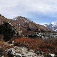 langtang-village-trek