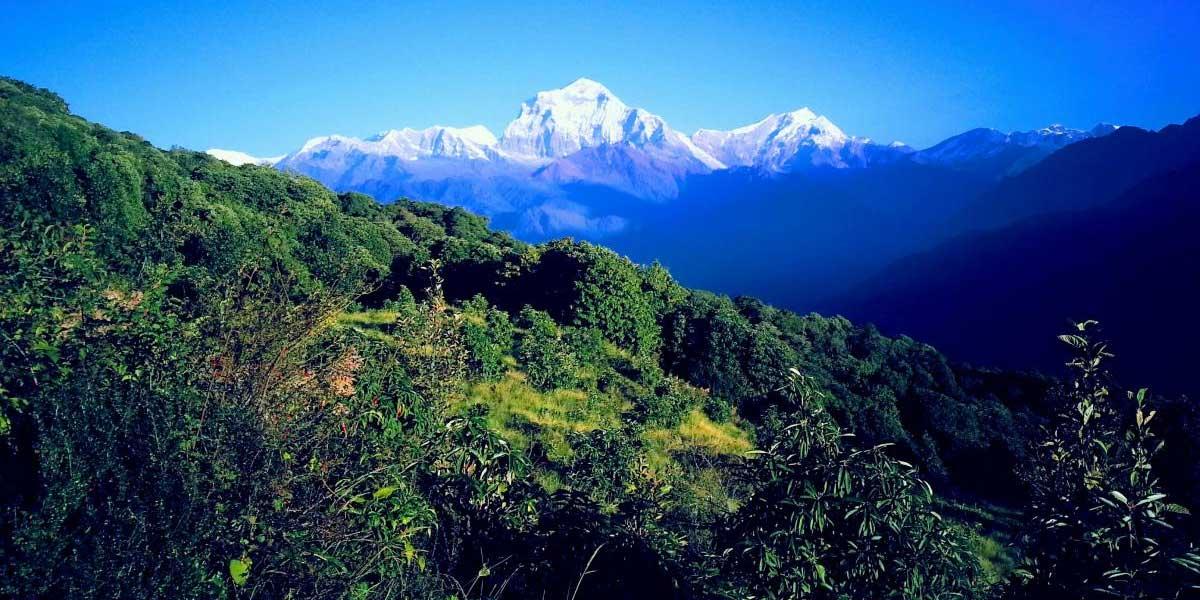 view-of-annapurna