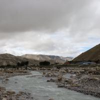 around mustang
