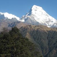 An ultimate guide to Ghorepani Poon Hill Trek