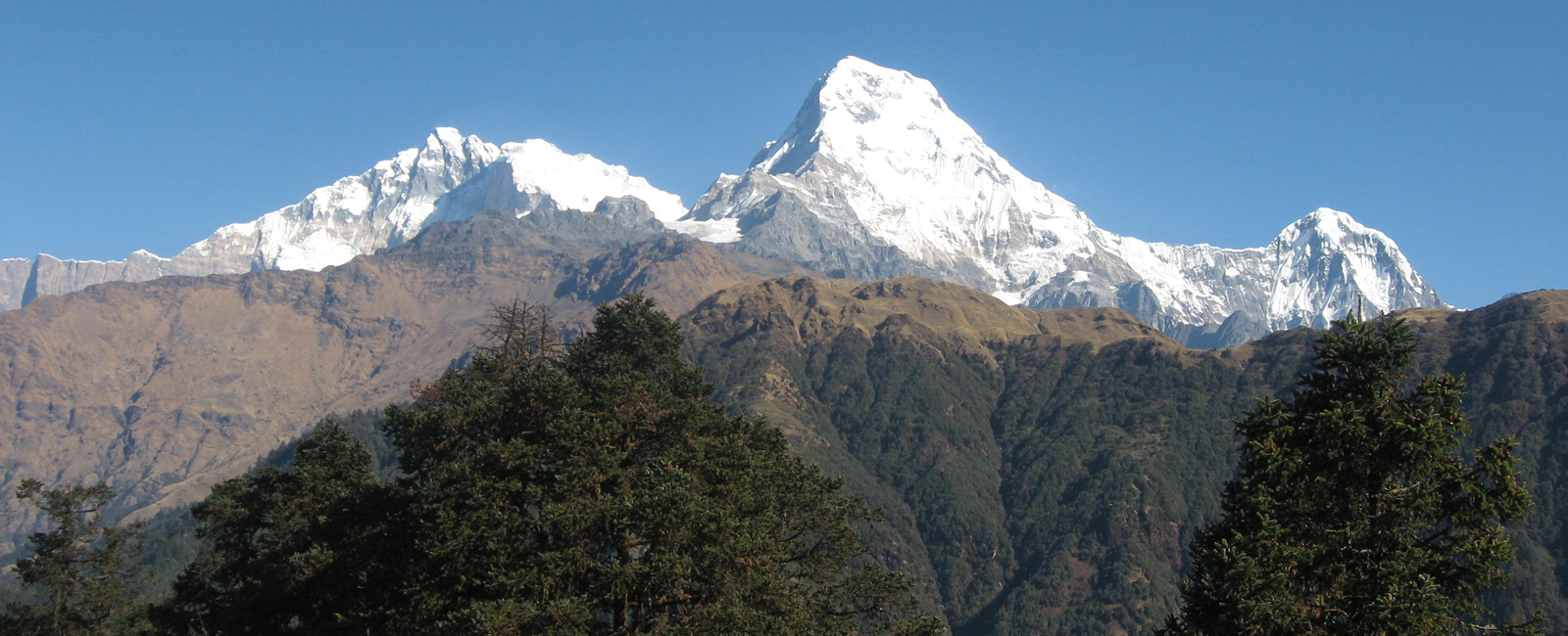 An ultimate guide to Ghorepani Poon Hill Trek