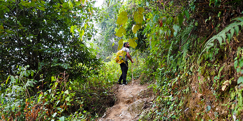 The highlights about trekking in Nepal in January