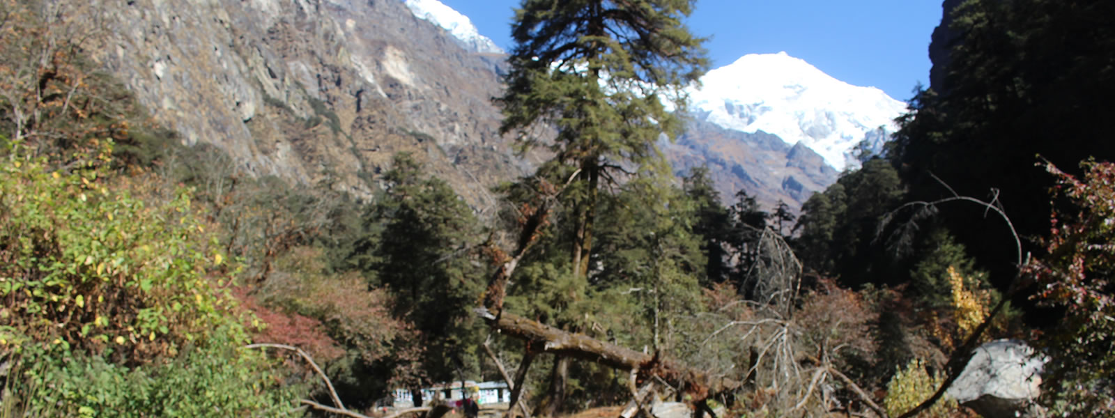 trekking-in-nepal-in-november-langtang-valley-trek