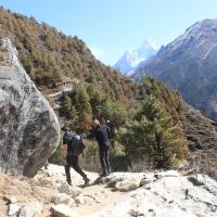 Trek from Namche to Tengboche